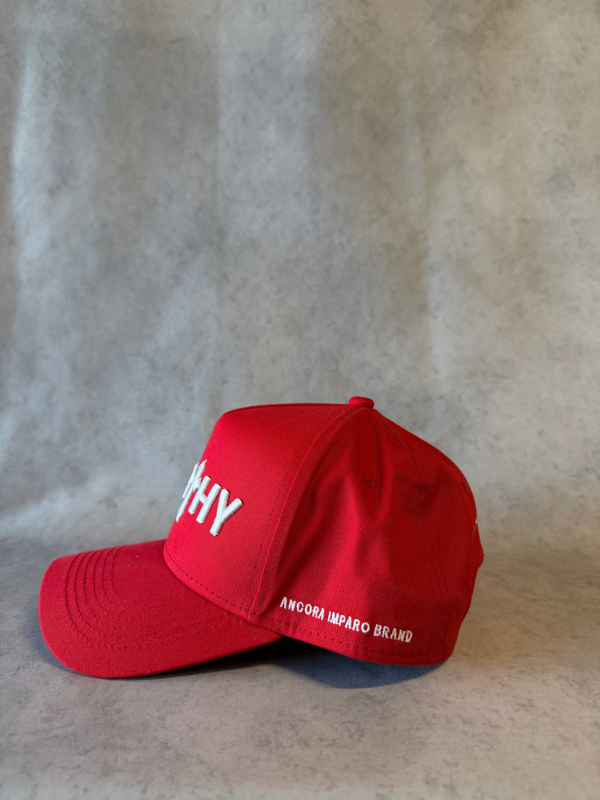 WAARDIGE HOED IN ROOD