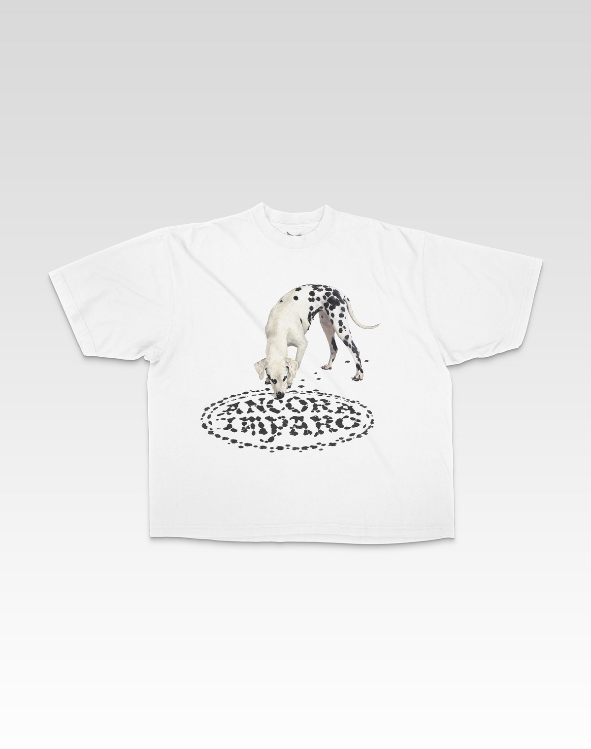 LEARNING ISNT ALWAYS SPOTLESS TEE - WHITE