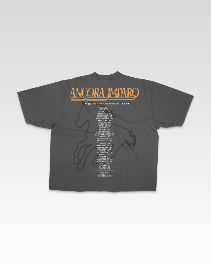 GET YOUR WINGS TOUR TEE