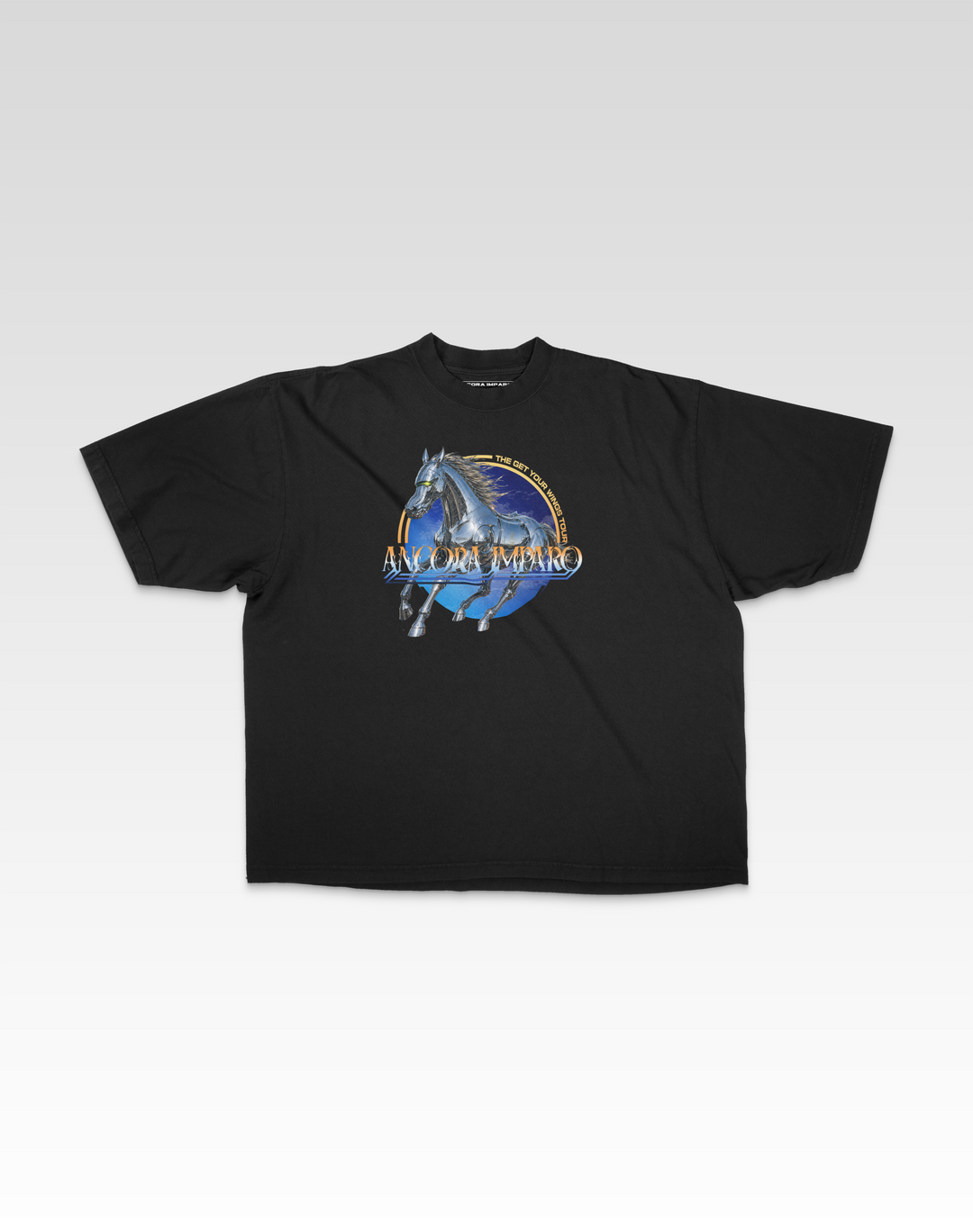 GET YOUR WINGS TOUR TEE