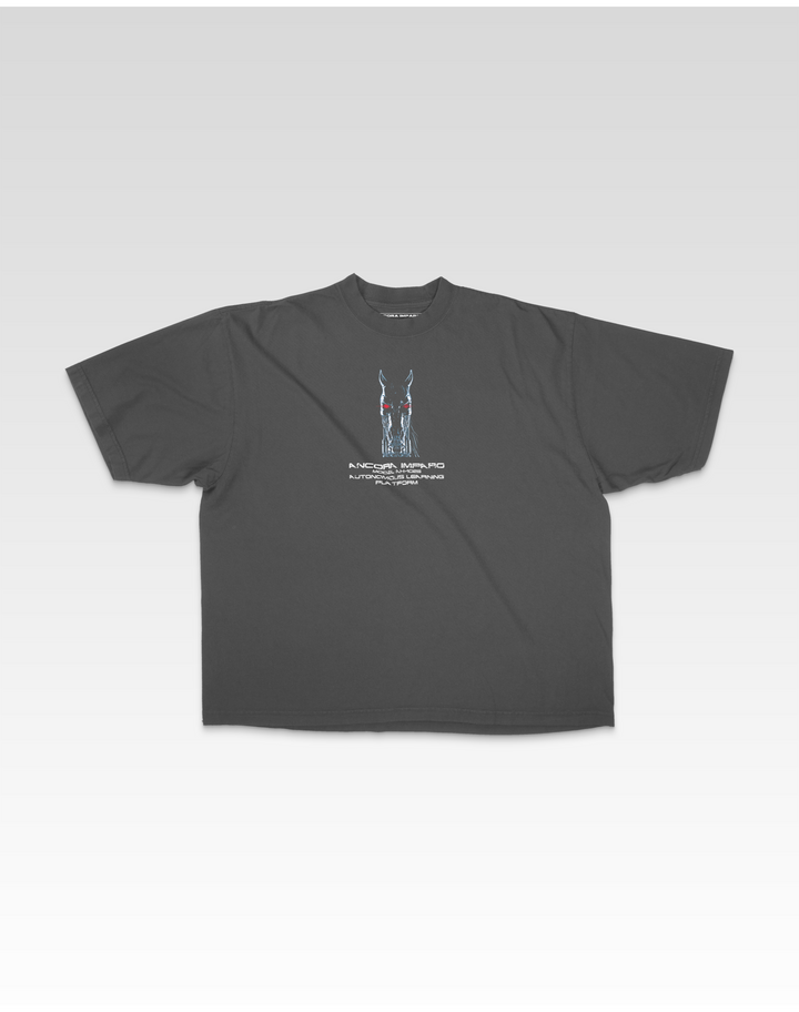 AUTONOMOUS LEARNING SYSTEM TEE