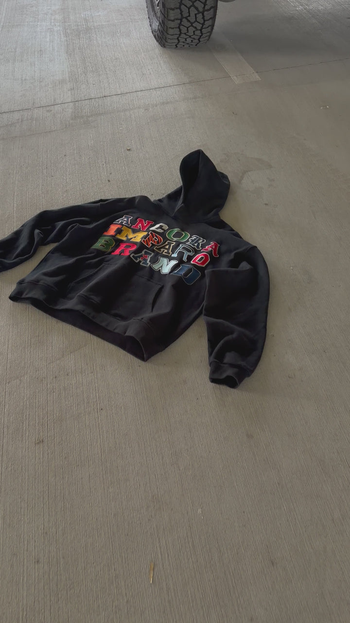 ANCORA COLLEGIATE HOODIE