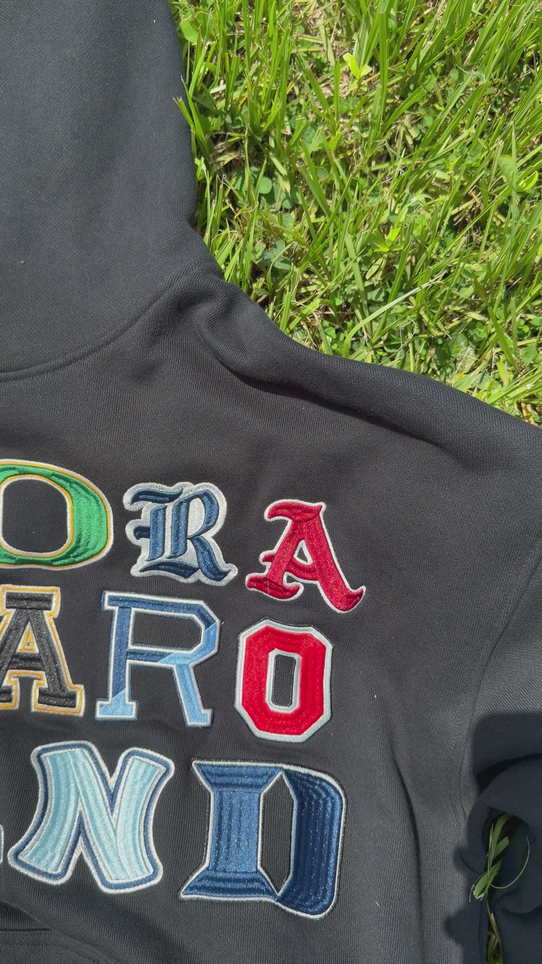 ANCORA COLLEGIATE HOODIE