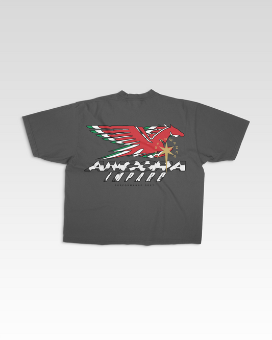 SOCCER HERITAGE TEE IN GREY